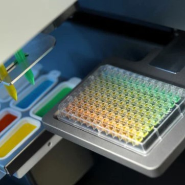 dragonfly_crystal_well_plate